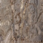 120107_RQ3
