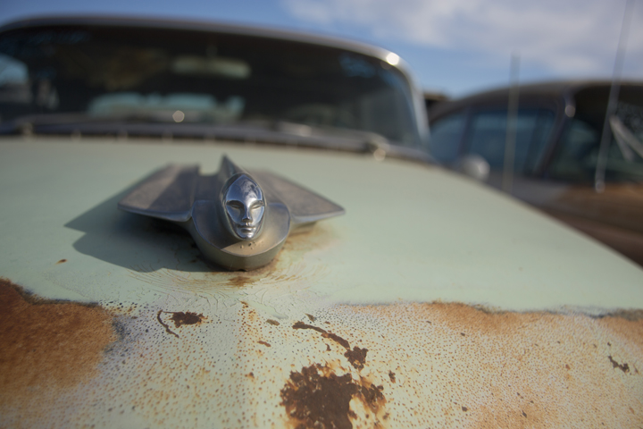 Little Duce Coupe… You don’t know what I got
